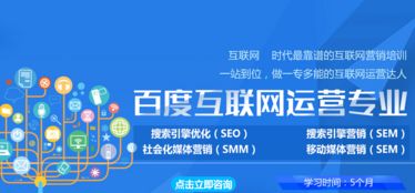 搜索引擎优化（SEO）的分类及其在互联网销售中的应用
